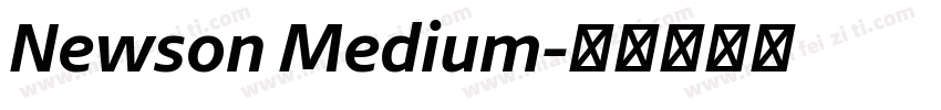 Newson Medium字体转换